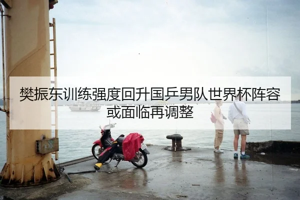 樊振东训练强度回升国乒男队世界杯阵容或面临再调整